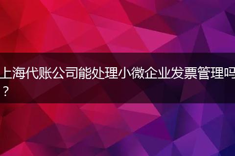 上海代账公司能处理小微企业发票管理吗？