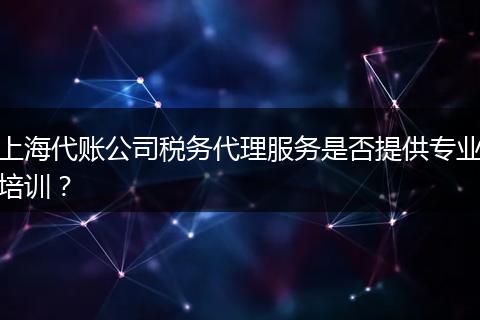 上海代账公司税务代理服务是否提供专业培训？