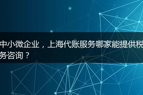 中小微企业，上海代账服务哪家能提供税务咨询？