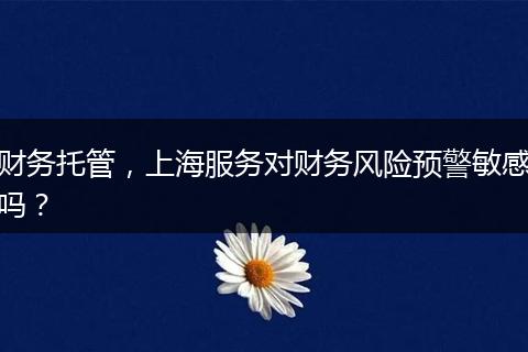 财务托管，上海服务对财务风险预警敏感吗？