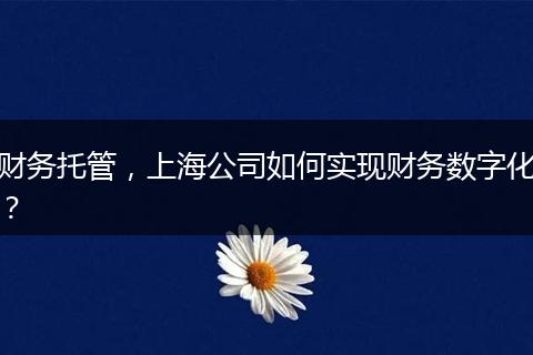 财务托管，上海公司如何实现财务数字化？