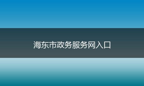 海东市政务服务网入口