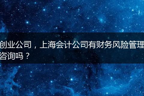 创业公司，上海会计公司有财务风险管理咨询吗？