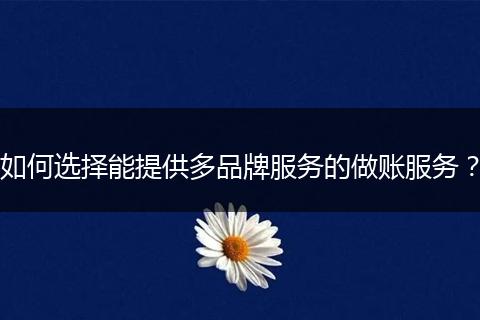 如何选择能提供多品牌服务的做账服务？