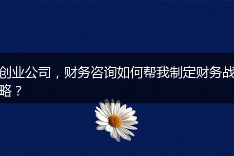创业公司，财务咨询如何帮我制定财务战略？