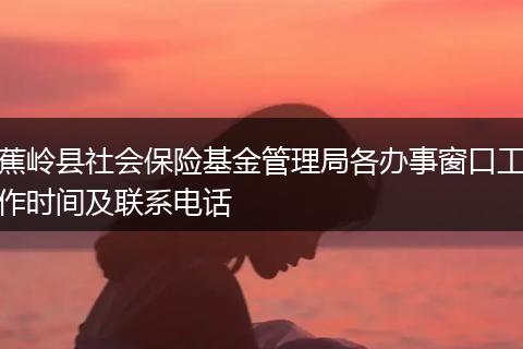蕉岭县社会保险基金管理局各办事窗口工作时间及联系电话