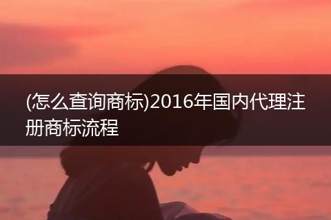 (怎么查询商标)2016年国内代理注册商标流程