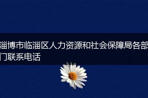 淄博市临淄区人力资源和社会保障局各部门联系电话