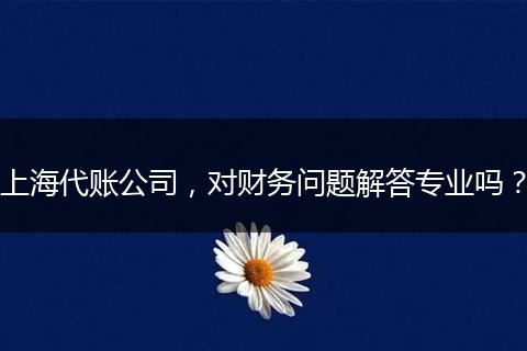 上海代账公司，对财务问题解答专业吗？