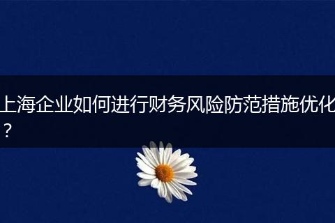 上海企业如何进行财务风险防范措施优化？