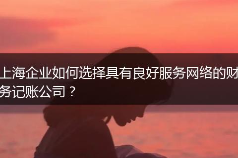 上海企业如何选择具有良好服务网络的财务记账公司？