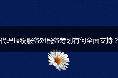 代理报税服务对税务筹划有何全面支持？