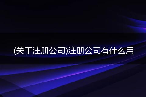 (关于注册公司)注册公司有什么用
