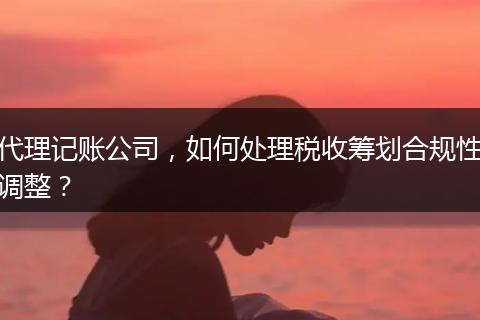 代理记账公司，如何处理税收筹划合规性调整？