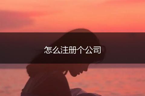 怎么注册个公司