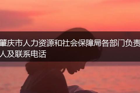 肇庆市人力资源和社会保障局各部门负责人及联系电话