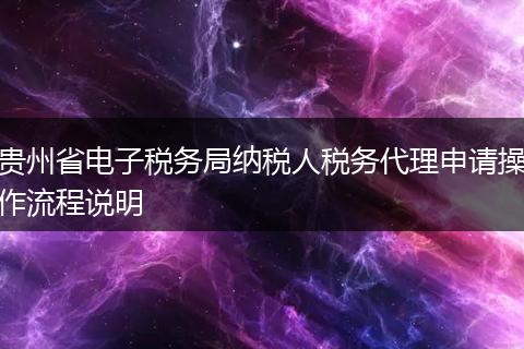 贵州省电子税务局纳税人税务代理申请操作流程说明