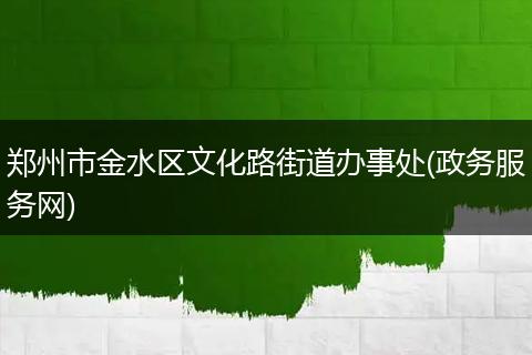 郑州市金水区文化路街道办事处(政务服务网)