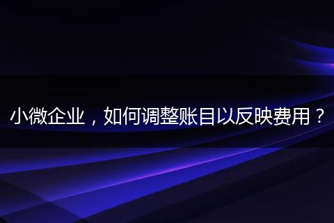 小微企业，如何调整账目以反映费用？