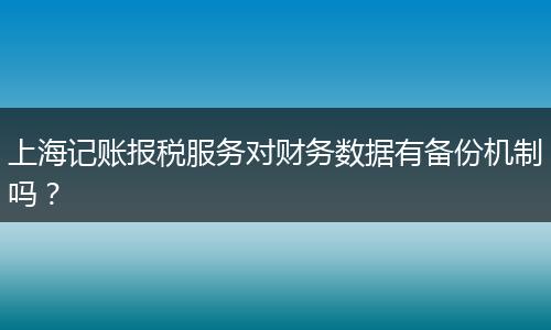 上海记账报税服务对财务数据有备份机制吗？