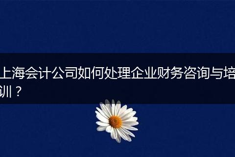 上海会计公司如何处理企业财务咨询与培训？