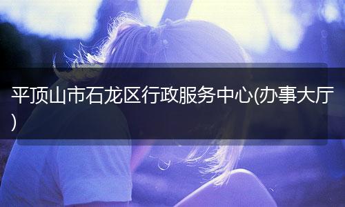 平顶山市石龙区行政服务中心(办事大厅)