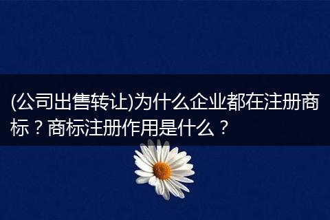 (公司出售转让)为什么企业都在注册商标？商标注册作用是什么？