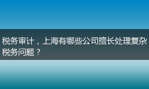 税务审计，上海有哪些公司擅长处理复杂税务问题？