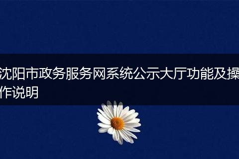 沈阳市政务服务网系统公示大厅功能及操作说明