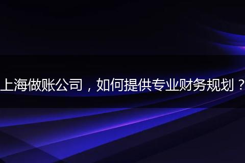 上海做账公司，如何提供专业财务规划？