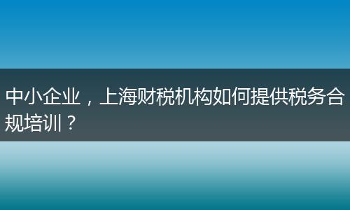 中小企业，上海财税机构如何提供税务合规培训？
