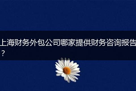 上海财务外包公司哪家提供财务咨询报告？