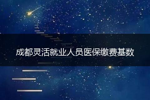 成都灵活就业人员医保缴费基数