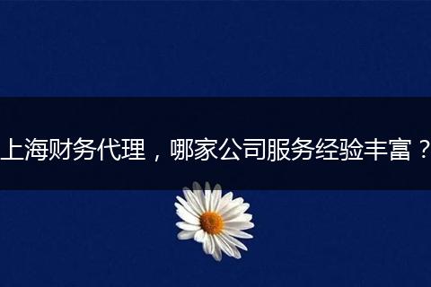 上海财务代理，哪家公司服务经验丰富？
