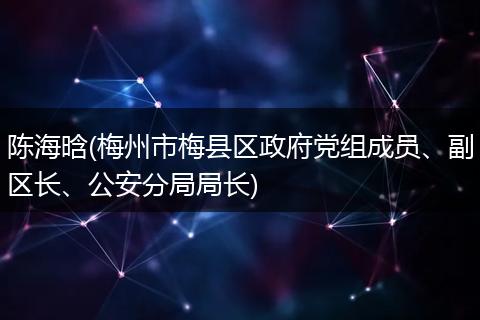 陈海晗(梅州市梅县区政府党组成员、副区长、公安分局局长)