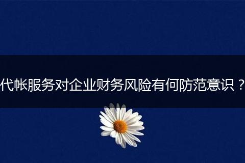 代帐服务对企业财务风险有何防范意识？