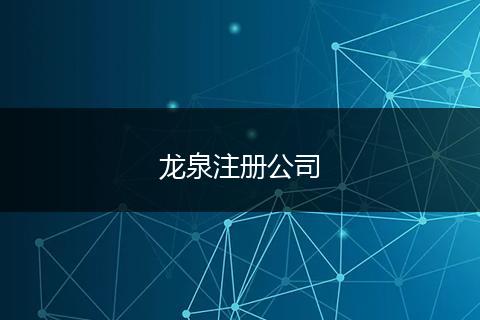 龙泉注册公司