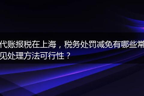 代账报税在上海，税务处罚减免有哪些常见处理方法可行性？
