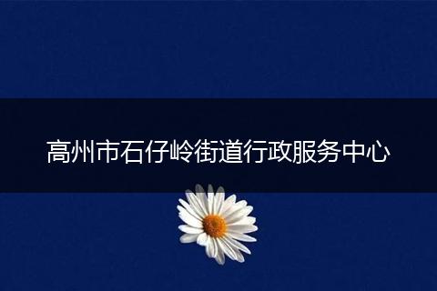 高州市石仔岭街道行政服务中心