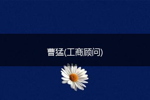 曹猛(工商顾问)