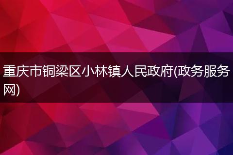 重庆市铜梁区小林镇人民政府(政务服务网)