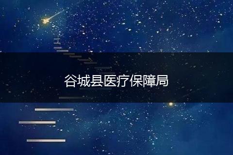 谷城县医疗保障局