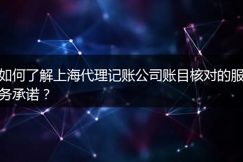 如何了解上海代理记账公司账目核对的服务承诺？