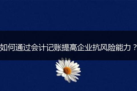 如何通过会计记账提高企业抗风险能力？