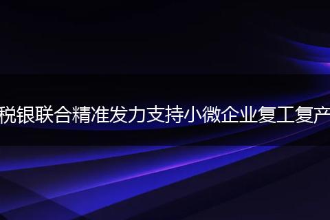 税银联合精准发力支持小微企业复工复产