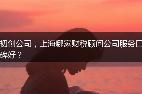 初创公司，上海哪家财税顾问公司服务口碑好？