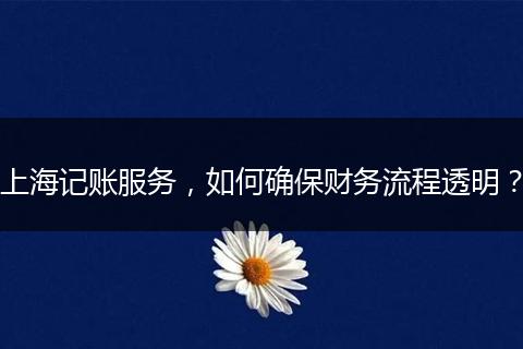 上海记账服务，如何确保财务流程透明？