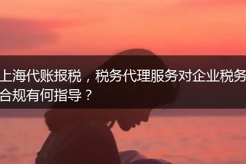 上海代账报税，税务代理服务对企业税务合规有何指导？