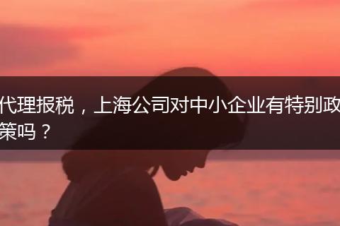 代理报税，上海公司对中小企业有特别政策吗？