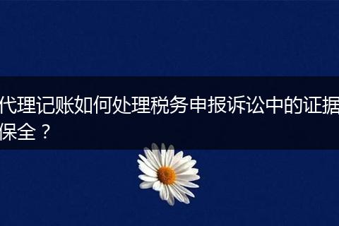 代理记账如何处理税务申报诉讼中的证据保全？
